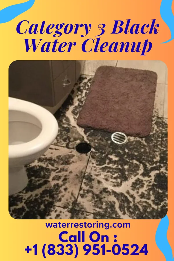 Category 3 Black Water Cleanup in Glenwood, IA