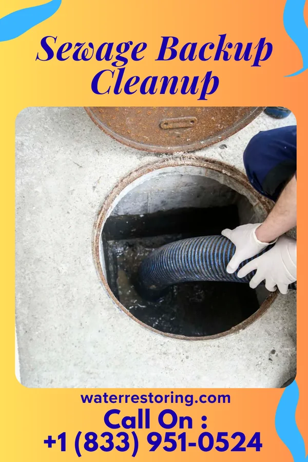 Sewage Backup Cleanup in Glenwood, IA