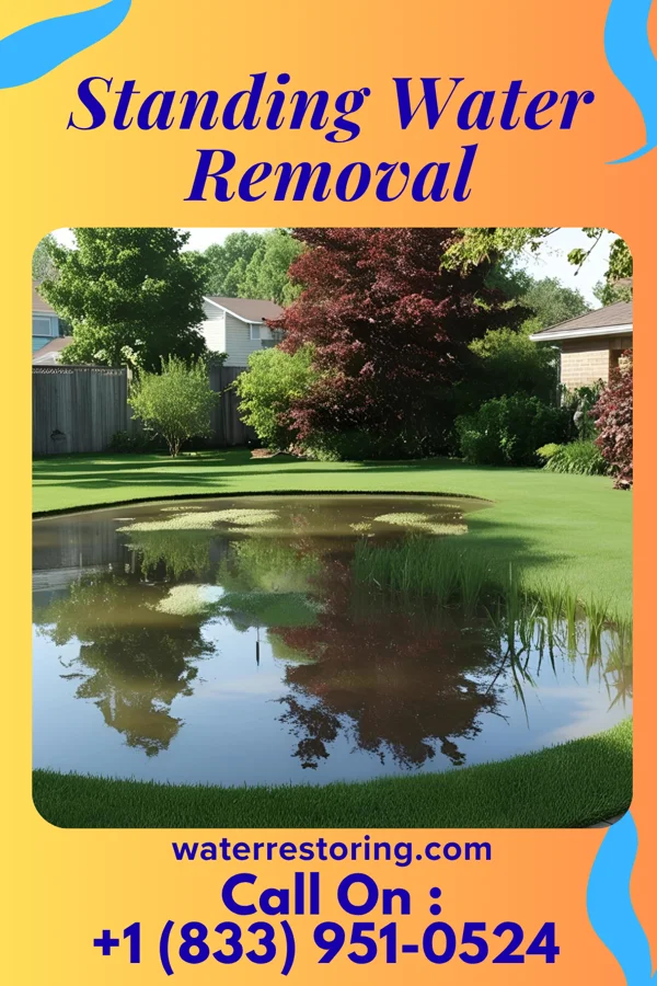 Standing Water Removal in Glenwood, IA